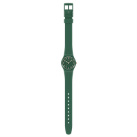 Watch Swatch NOTES OF PECAN in Plastic LG130 - LG130
